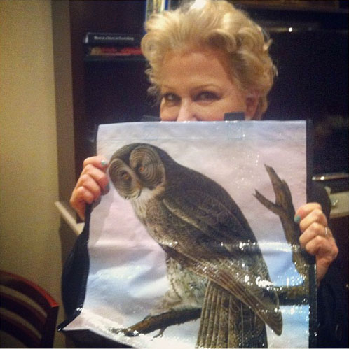 Photo: Bette Midler At The Audubon Society Gala