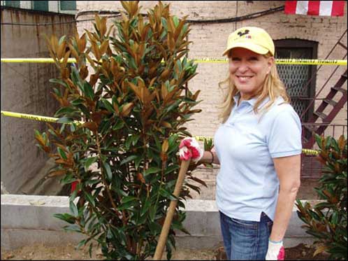 New York Restoration Project, Plans To Offer 625 Free Trees To Bronxites Through April 28