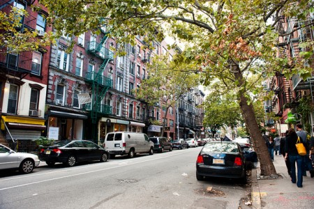 NYRP And TreeKIT: Volunteers Set Out to Count All of NYC's Street Trees
