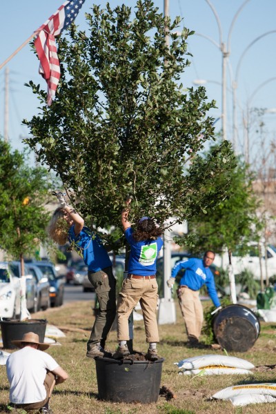 TD Tree Day in The Rockaways, Queens, NY, on September 28, 2013.