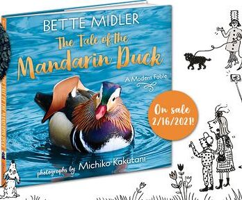 Tale Of The Mandarin Duck