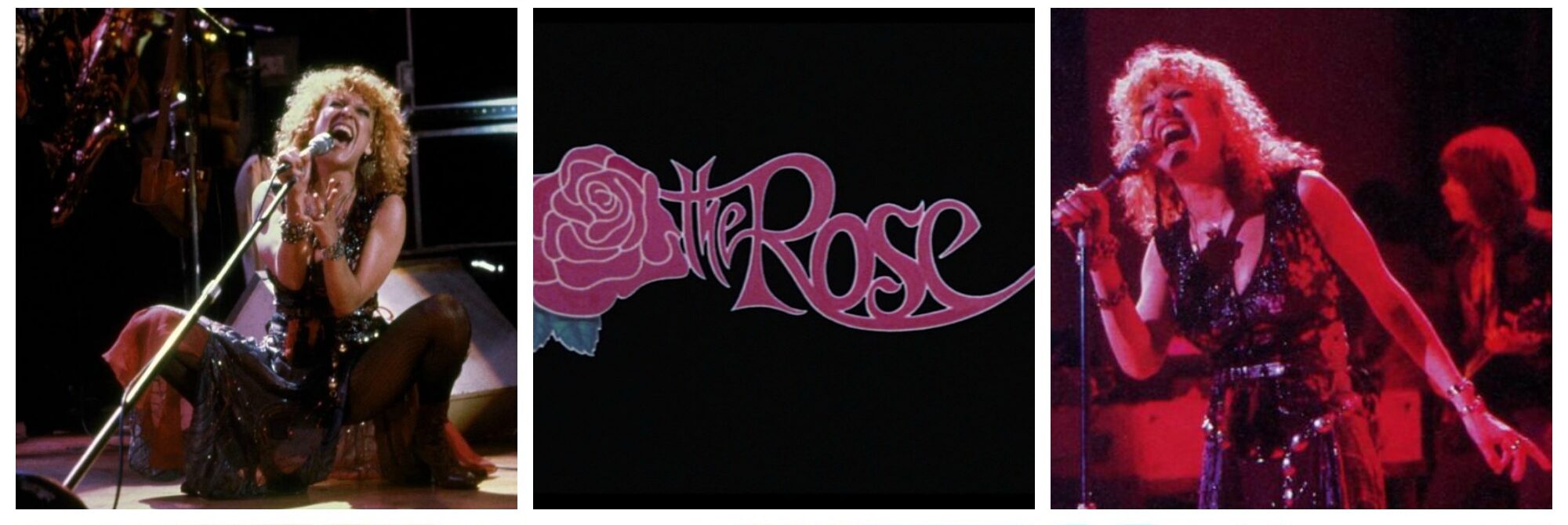 The-Rose-Collage