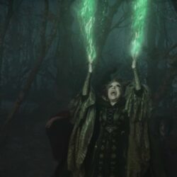 W1500_51058736 - bootleg betty #BetteMidler_HocusPocus3
