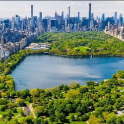 2026-07-26_15-13-33 - bootleg betty Aerial view of Central Park in Manhattan with the lake, trees, and surrounding city skyline.