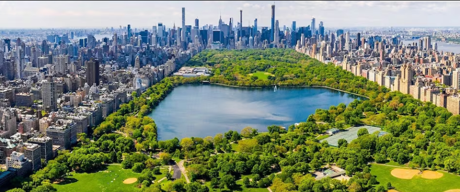 Aerial view of Central Park in Manhattan with the lake, trees, and surrounding city skyline.