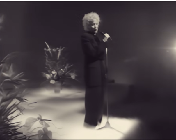 A performer singing into a microphone on a dimly lit stage with plants in the background and fog at their feet.
