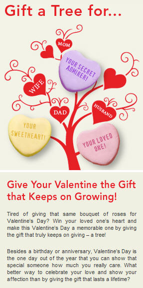 Gift A Tree For Valentine's Day