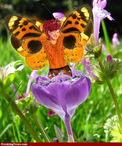 7809159006 2f6031e62e o-Copy-Copy-Copy